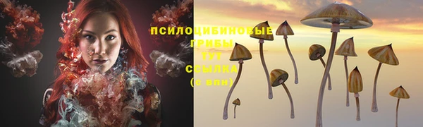 каннабис Карпинск