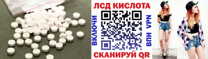 ЛСД экстази ecstasy  Купить где  Жиздра 