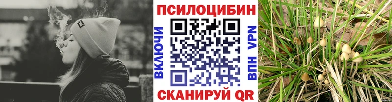 Купить где  Жиздра  Галлюциногенные грибы Magic Shrooms 