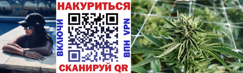 Каннабис ГИДРОПОН Купить закладки Жиздра